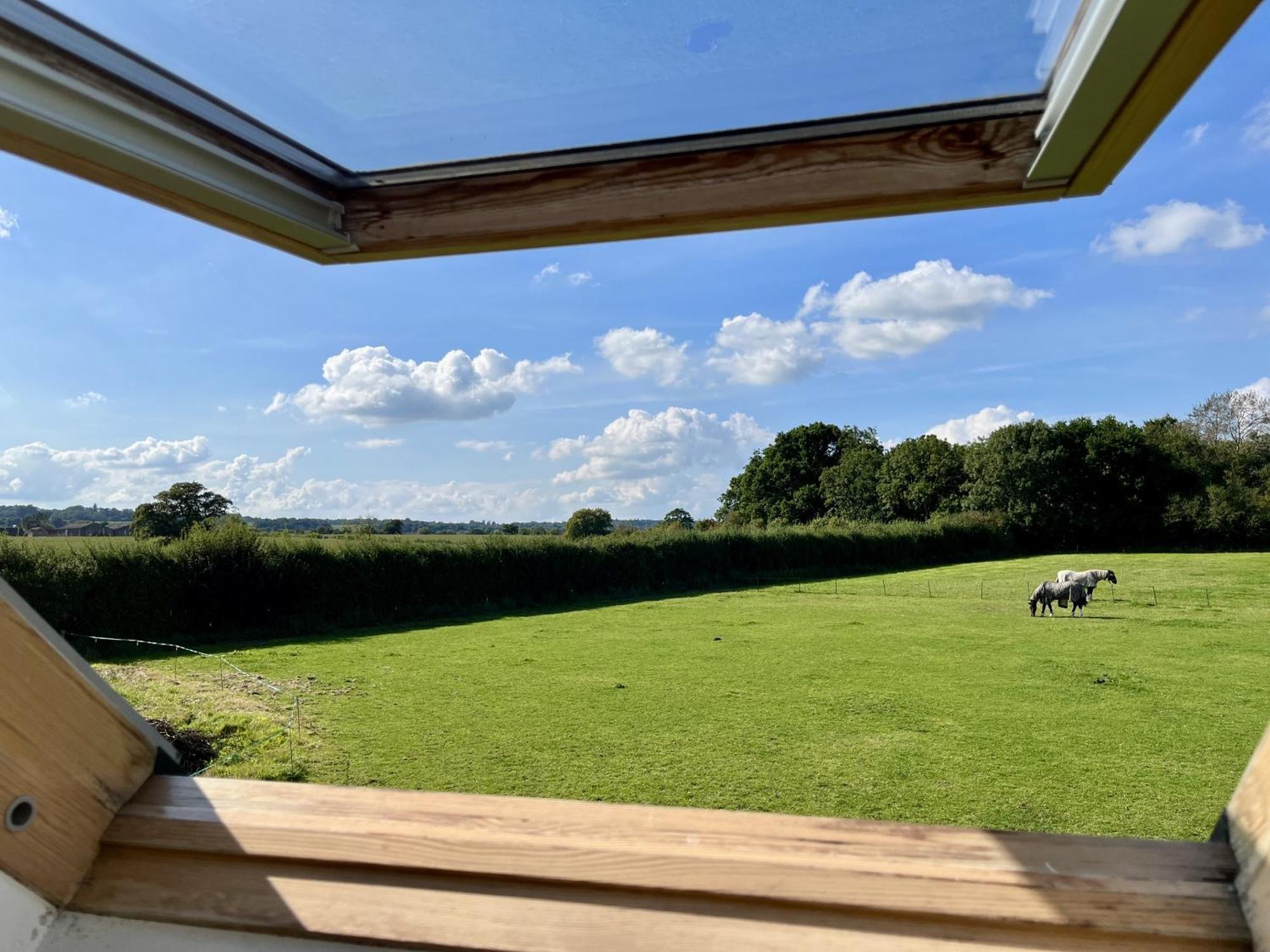 Stalbridge Priors Oak - A Cosy Studio With Countryside Views In Dorset מראה חיצוני תמונה